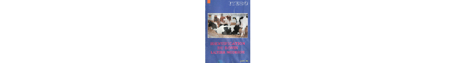 Identification Bovin Laitier Moderne ITEBO 1994